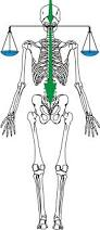 colonne-vertebre-alignee-atlas