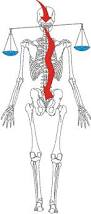 equilibre-colonne-rachis-atlas-chiropraxie
